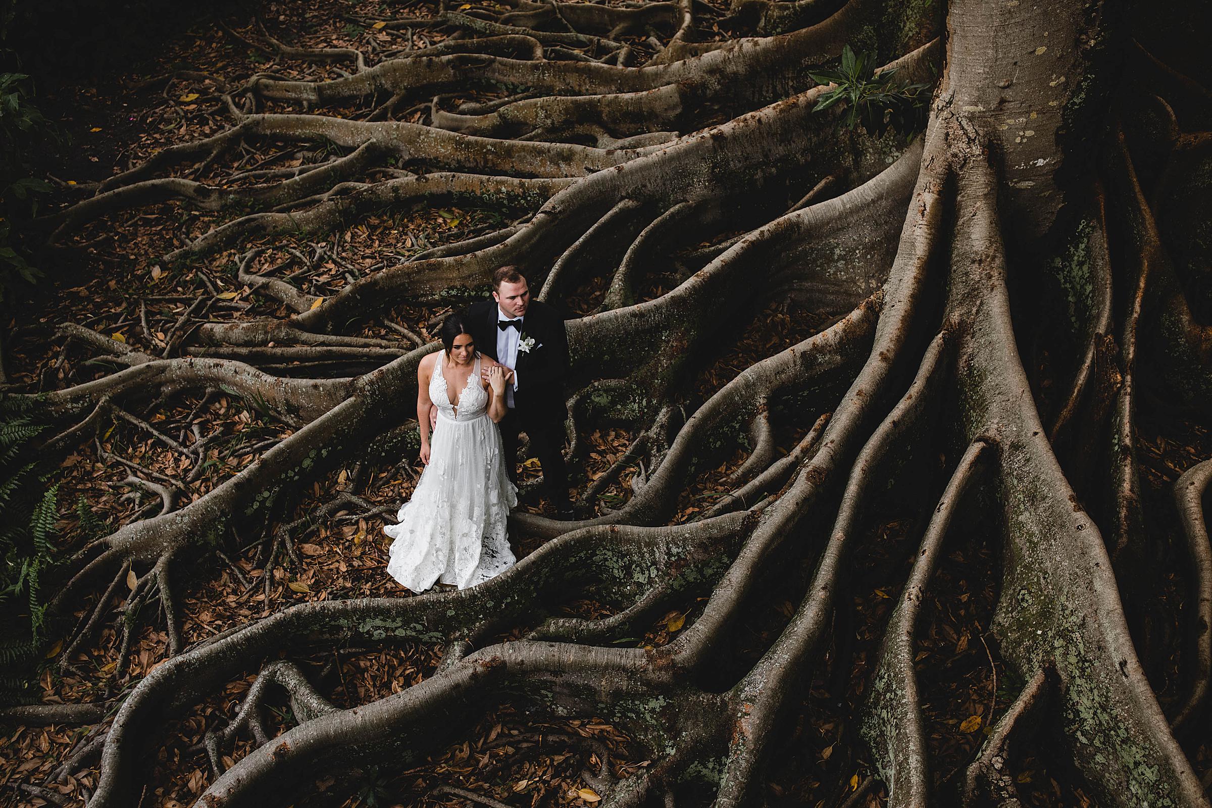 bride and groom portraits at marie selby botanical gardens wedding in a giant banyan tree