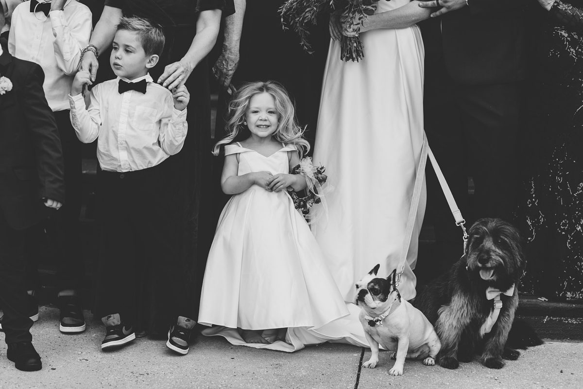 flower girl standing amongst a group of people with her dogs at sarasota wedding