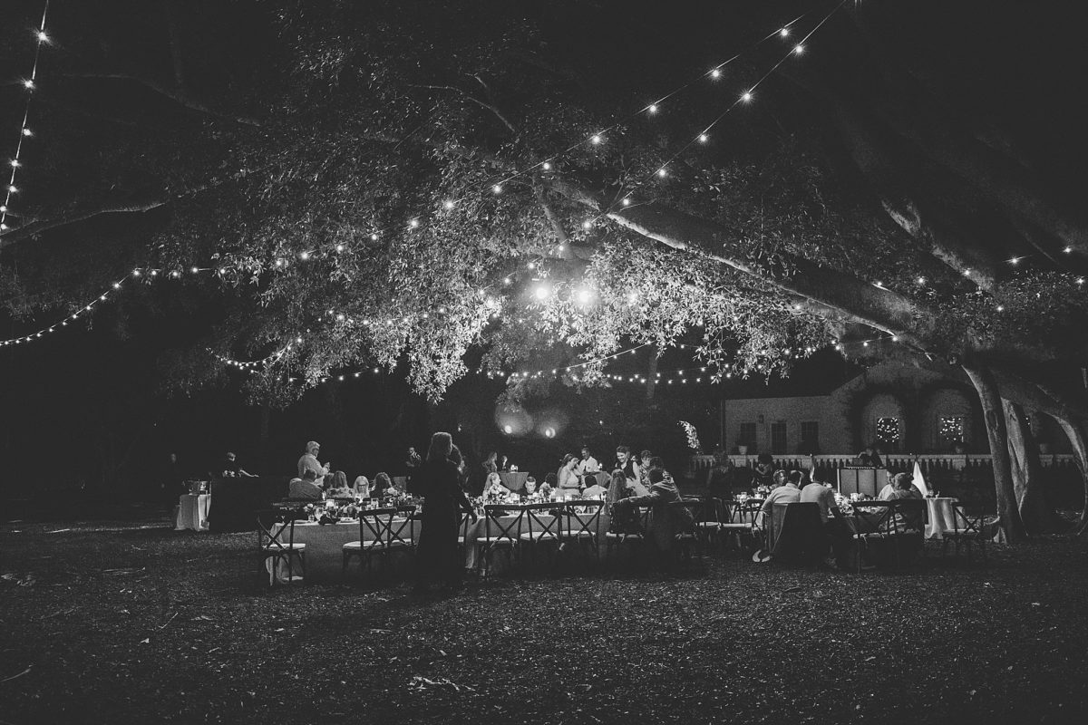 black and white photo of marie selby gardens wedding reception outside under the banyan trees