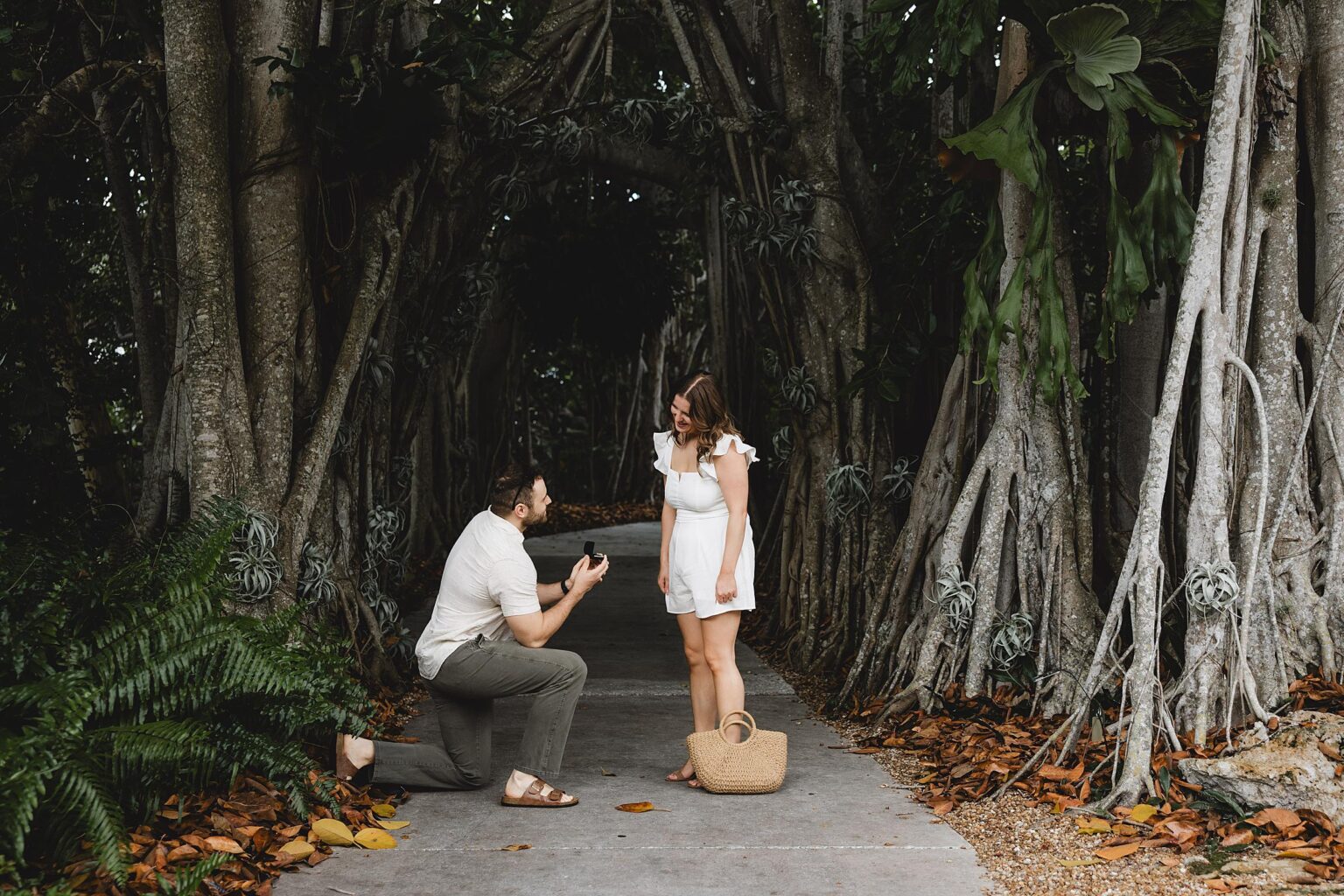 Man down on one knee proposing to girlfriend at selby gardens in sarasota, florida. Photographed by Juliana Montane Photography.